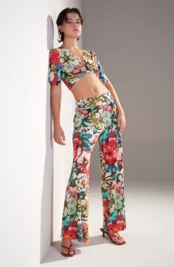 tainy*Pain de Sucre Outlet